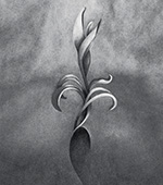 Graphite originals and prints image